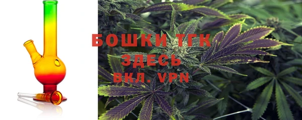 спиды Аша