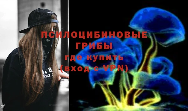 стафф Навашино