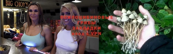 мет Надым