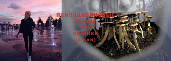 мет Надым