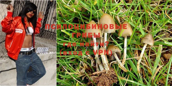 a pvp Бабаево