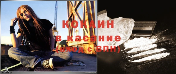 прущие грибы Ахтубинск