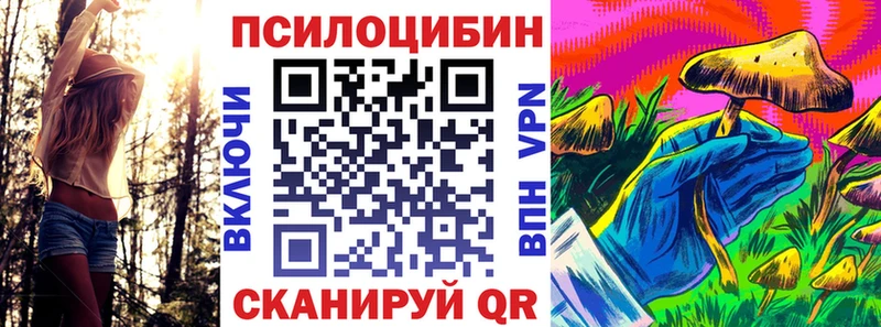 Галлюциногенные грибы Psilocybe  закладка  сайты даркнета Telegram  Приволжск 